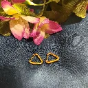 IMG_20260109_213117871 (1).webp