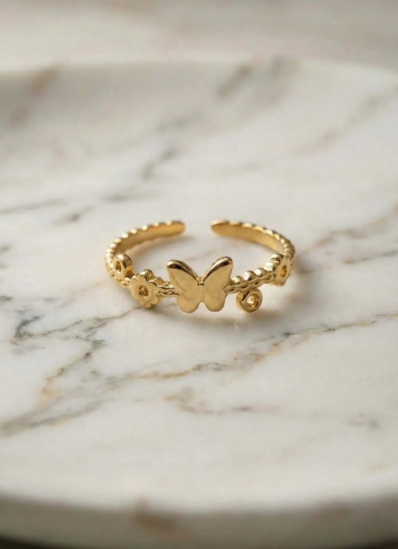 The Sweet Butterfly Band