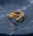 The Ocean Friends Duo Ring