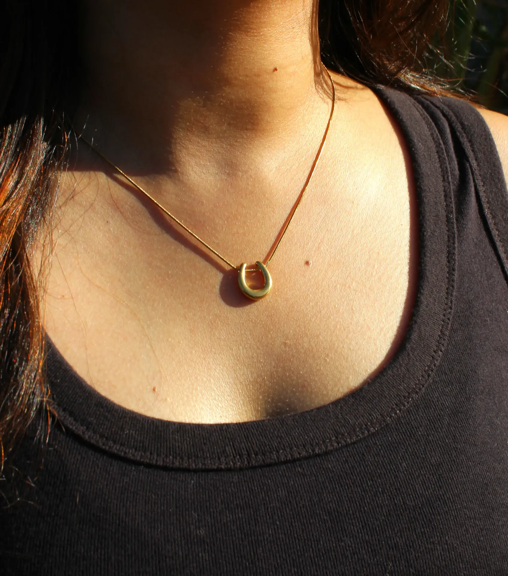 The Royal Radiant Horseshoe Necklace