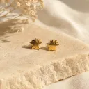 Golden Stellar Studs