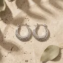 Silver Dotted Crescent Hoops